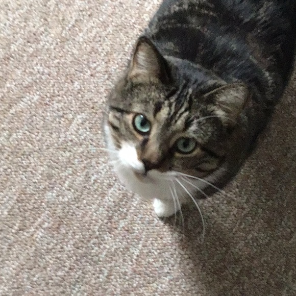 Kelly 💞💞 - Picture 8 of 9